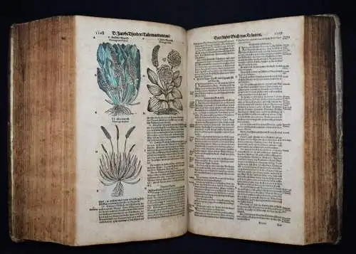 KRÄUTERBUCH 1664 KREUTERBUCH HEILPFLANZEN BOTANIK BOTANY HERBS Tabernaemontanus