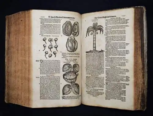 KRÄUTERBUCH 1664 KREUTERBUCH HEILPFLANZEN BOTANIK BOTANY HERBS Tabernaemontanus