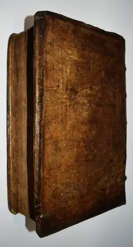 KRÄUTERBUCH 1664 KREUTERBUCH HEILPFLANZEN BOTANIK BOTANY HERBS Tabernaemontanus