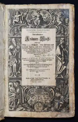 KRÄUTERBUCH 1664 KREUTERBUCH HEILPFLANZEN BOTANIK BOTANY HERBS Tabernaemontanus