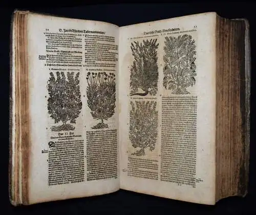 KRÄUTERBUCH 1664 KREUTERBUCH HEILPFLANZEN BOTANIK BOTANY HERBS Tabernaemontanus