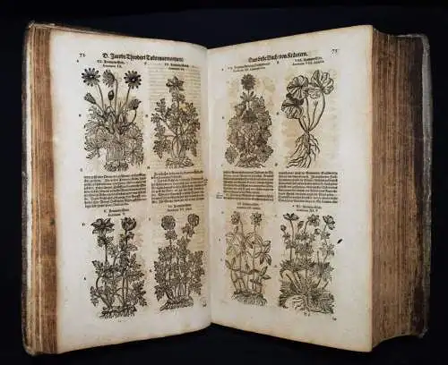 KRÄUTERBUCH 1664 KREUTERBUCH HEILPFLANZEN BOTANIK BOTANY HERBS Tabernaemontanus