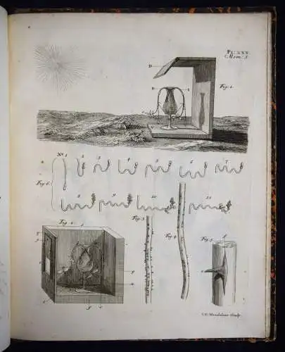 Bonnet, Recherches sur l’usage des feuilles dans les plantes 1754 BOTANIK