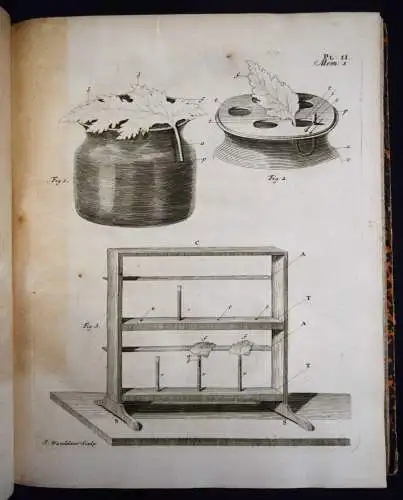 Bonnet, Recherches sur l’usage des feuilles dans les plantes 1754 BOTANIK