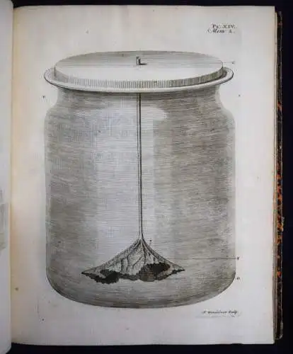 Bonnet, Recherches sur l’usage des feuilles dans les plantes 1754 BOTANIK