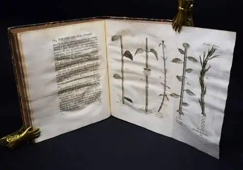 Bonnet, Recherches sur l’usage des feuilles dans les plantes 1754 BOTANIK