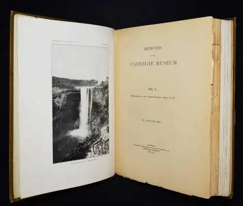 Holland, Memoires of the Carnegie Museum 1912 ICHTHYOLOGIE NEU GUINEA FISCHE