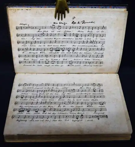 Wegeler, Biographische Notizen über Ludwig van BEETHOVEN - 1838 ERSTE AUSGABE