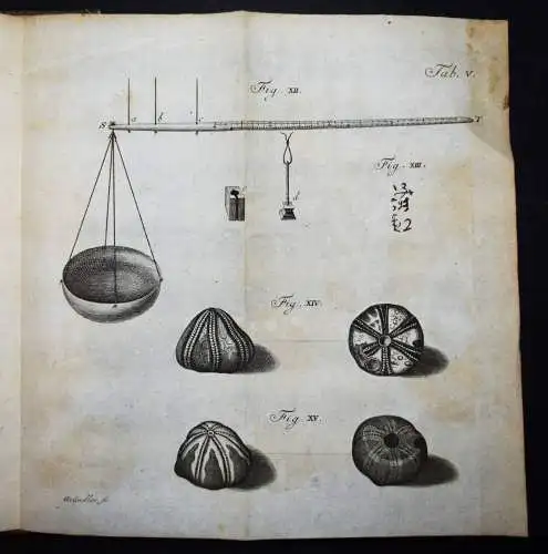 Abhandlungen der Naturforschenden Gesellschaft in Danzig 1747 PHYSIK ASTRONOMIE