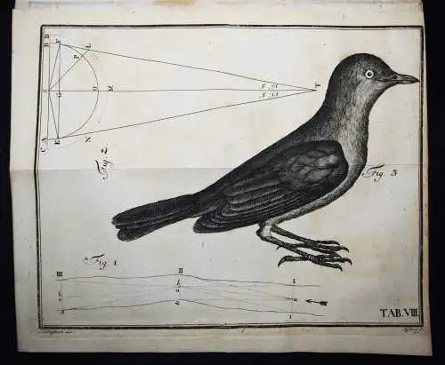 Abhandlungen der Naturforschenden Gesellschaft in Danzig 1747 PHYSIK ASTRONOMIE