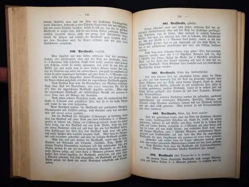 Elsasser, Ausführliches Kochbuch für die...jüdische Küche 1901 JUDAICA