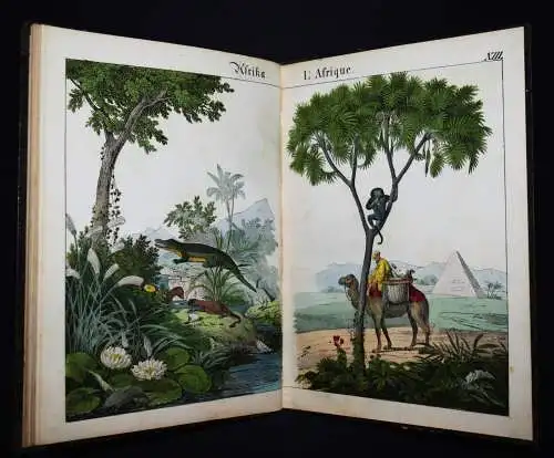 Schmid, Bilder zum Anschauungs-Unterricht. Schreiber 1846 BIEDERMEIER-BILDERBUCH