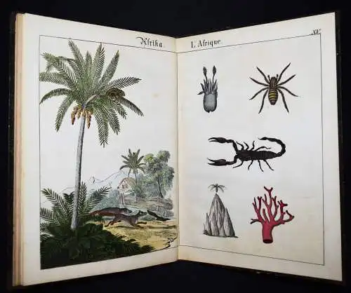 Schmid, Bilder zum Anschauungs-Unterricht. Schreiber 1846 BIEDERMEIER-BILDERBUCH