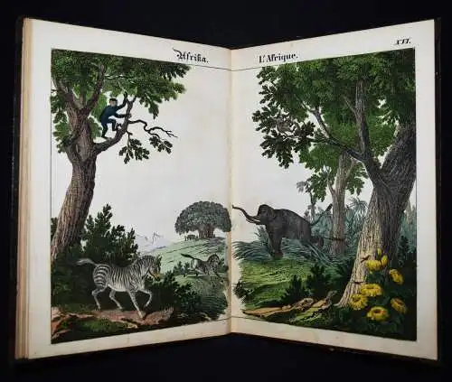 Schmid, Bilder zum Anschauungs-Unterricht. Schreiber 1846 BIEDERMEIER-BILDERBUCH