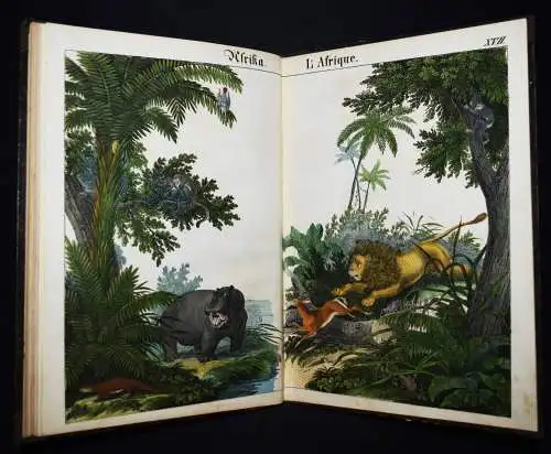 Schmid, Bilder zum Anschauungs-Unterricht. Schreiber 1846 BIEDERMEIER-BILDERBUCH