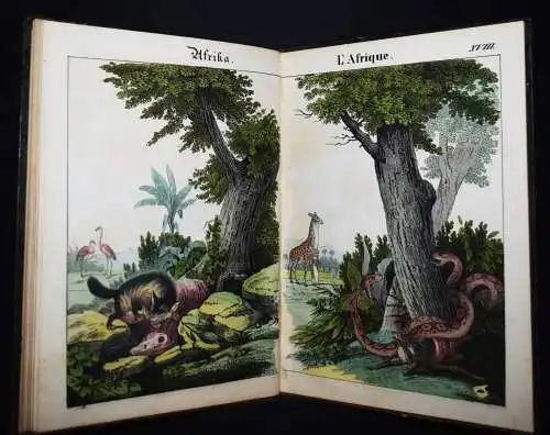 Schmid, Bilder zum Anschauungs-Unterricht. Schreiber 1846 BIEDERMEIER-BILDERBUCH