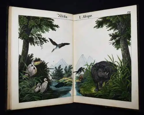 Schmid, Bilder zum Anschauungs-Unterricht. Schreiber 1846 BIEDERMEIER-BILDERBUCH