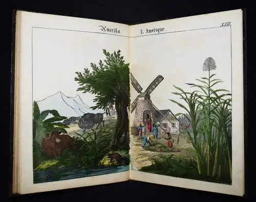 Schmid, Bilder zum Anschauungs-Unterricht. Schreiber 1846 BIEDERMEIER-BILDERBUCH