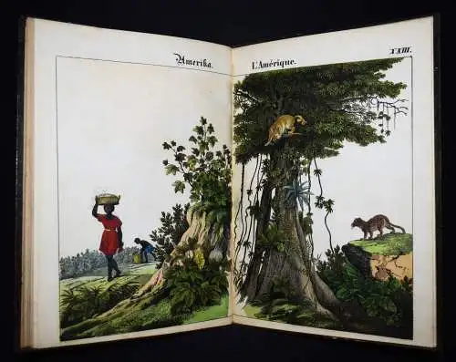 Schmid, Bilder zum Anschauungs-Unterricht. Schreiber 1846 BIEDERMEIER-BILDERBUCH