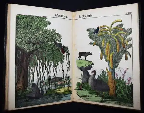 Schmid, Bilder zum Anschauungs-Unterricht. Schreiber 1846 BIEDERMEIER-BILDERBUCH