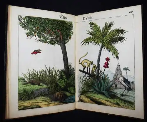 Schmid, Bilder zum Anschauungs-Unterricht. Schreiber 1846 BIEDERMEIER-BILDERBUCH