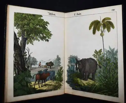 Schmid, Bilder zum Anschauungs-Unterricht. Schreiber 1846 BIEDERMEIER-BILDERBUCH