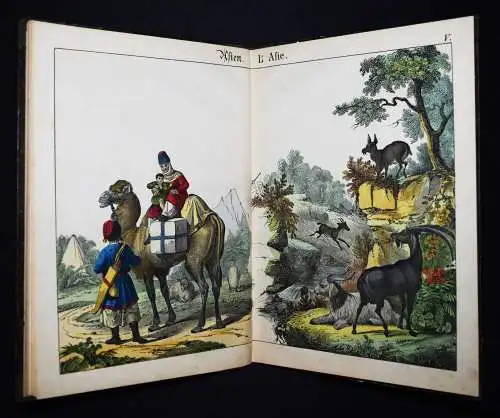 Schmid, Bilder zum Anschauungs-Unterricht. Schreiber 1846 BIEDERMEIER-BILDERBUCH