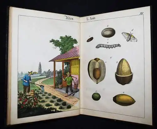 Schmid, Bilder zum Anschauungs-Unterricht. Schreiber 1846 BIEDERMEIER-BILDERBUCH