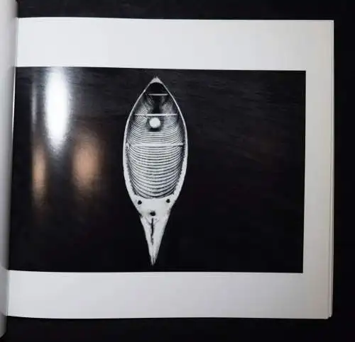 Häusser, Robert. Photografische Bilder SIGNIERT WIDMUNGSEXEMPLAR