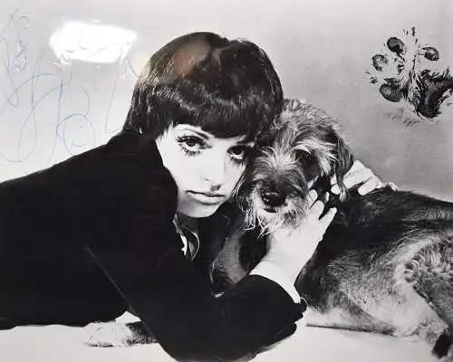 Minnelli, Liza. Orig.-Photographie II (mit Hund)~ 1975 SIGNIERT WIDMUNG