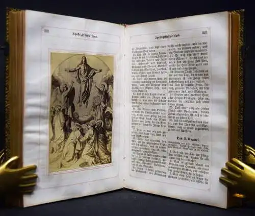 JOSEPH ALBERT - Luther, Das Neue Testament 1869 ORIG.-PHOTOGRAPHIEN - BIBEL