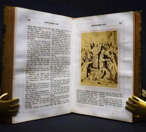 JOSEPH ALBERT - Luther, Das Neue Testament 1869 ORIG.-PHOTOGRAPHIEN - BIBEL