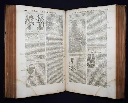 Matthioli, Les commentaires 1642 FOLIO-KRÄUTERBUCH KREUTERBUCH KREUTTERBUCH