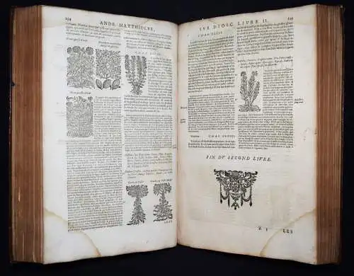 Matthioli, Les commentaires 1642 FOLIO-KRÄUTERBUCH KREUTERBUCH KREUTTERBUCH