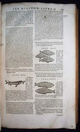 Matthioli, Les commentaires 1642 FOLIO-KRÄUTERBUCH KREUTERBUCH KREUTTERBUCH