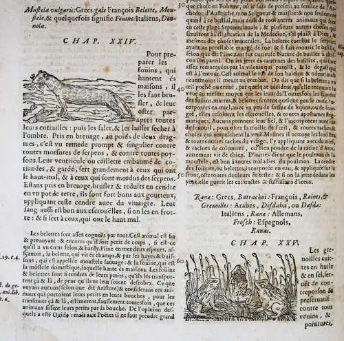 Matthioli, Les commentaires 1642 FOLIO-KRÄUTERBUCH KREUTERBUCH KREUTTERBUCH