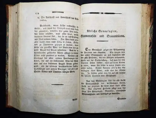 Schmidt, Beiträge zur Geschichte des Adels...1794 ADEL RITTER RITTERORDEN ORDEN
