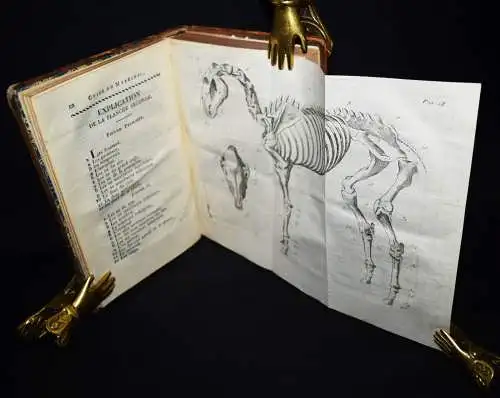 Lafosse, Guide du marechal - 1803 CHEVAL HORSES PFERDEHALTUNG VETERINÄRMEDIZIN