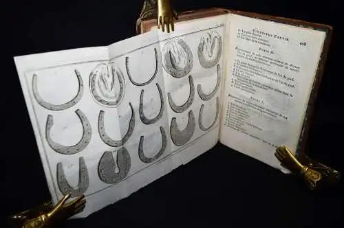 Lafosse, Guide du marechal - 1803 CHEVAL HORSES PFERDEHALTUNG VETERINÄRMEDIZIN