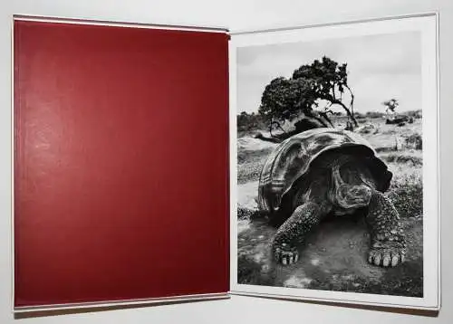 Salgado, Sebastiao. Genesis - 2 VOL