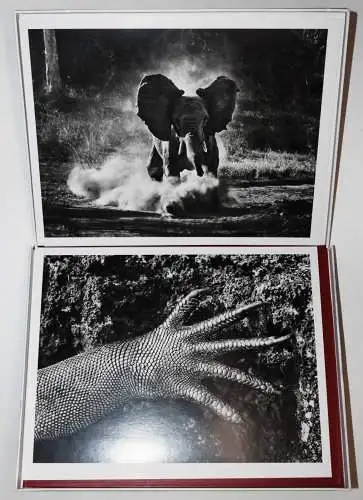 Salgado, Sebastiao. Genesis - 2 VOL