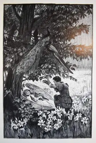 Andersen, Andersens Märchen. Neff 1900 - JUGENDSTIL