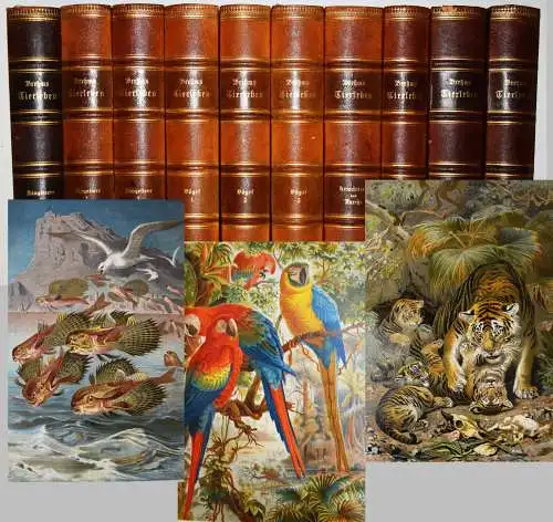 Brehm, Brehms Tierleben Bibliographische Institut. 10 BÄNDE. 1890-1893 BIOLOGIE