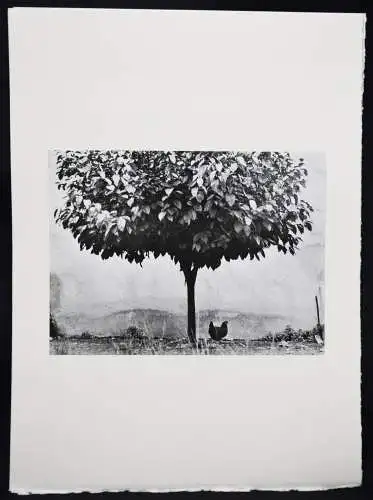 Boubat, Edouard. Photographies SIGNIERT NUMMERIERT 1/160 WIDMUNGSEXEMPLAR