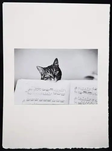 Boubat, Edouard. Photographies SIGNIERT NUMMERIERT 1/160 WIDMUNGSEXEMPLAR