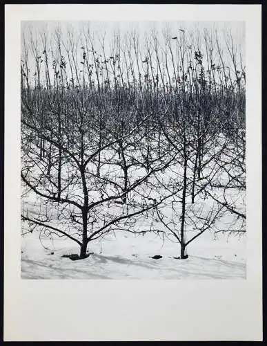 Tournier, Lucien Clergue - 1972 SIGNED NUM 1/40 + ORIG.-PHOTOGRAPH