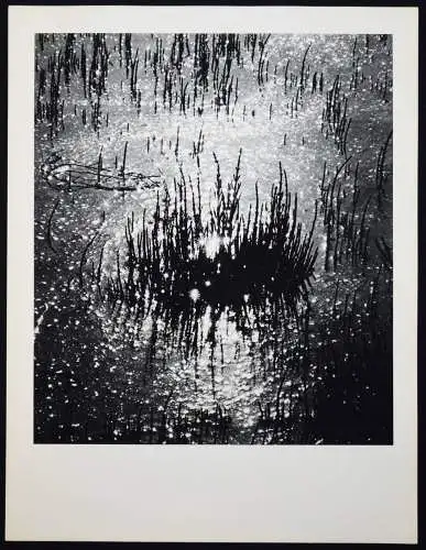 Tournier, Lucien Clergue - 1972 SIGNED NUM 1/40 + ORIG.-PHOTOGRAPH