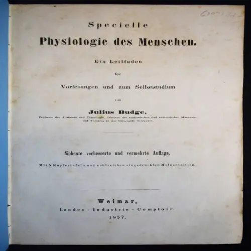 Budge, Specielle Physiologie des Menschen - 1857