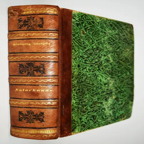 Menzel, Die Naturkunde im christlichen Geiste aufgefaßt 1856 BIOLOGIE GEOLOGIE