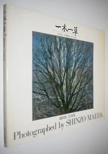 Maeda, Shinzo. A Tree, A Blade of Grass - 1985 FIRST EDITION - JAPAN